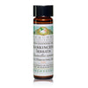 Frankincense Serrata Essential Oil